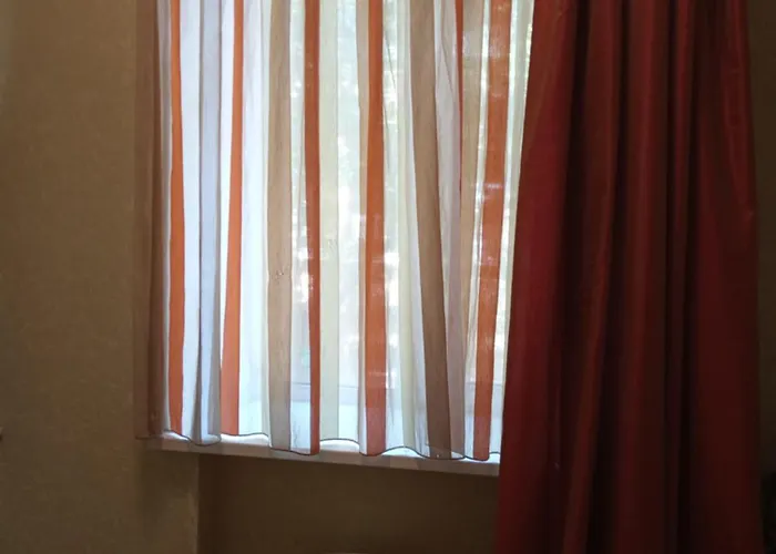 敖德萨欢迎公寓酒店 *